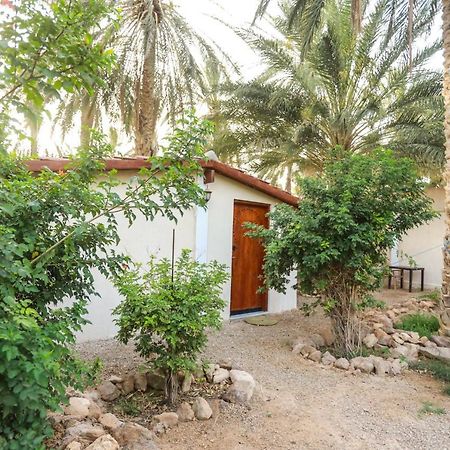 Dar Barka Hotel Kebili Kültér fotó