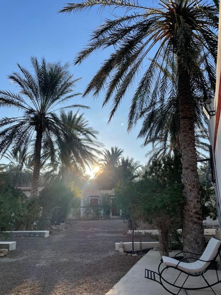 Dar Barka Hotel Kebili Kültér fotó