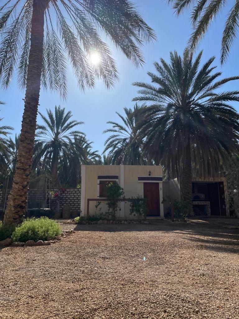 Dar Barka Hotel Kebili Kültér fotó
