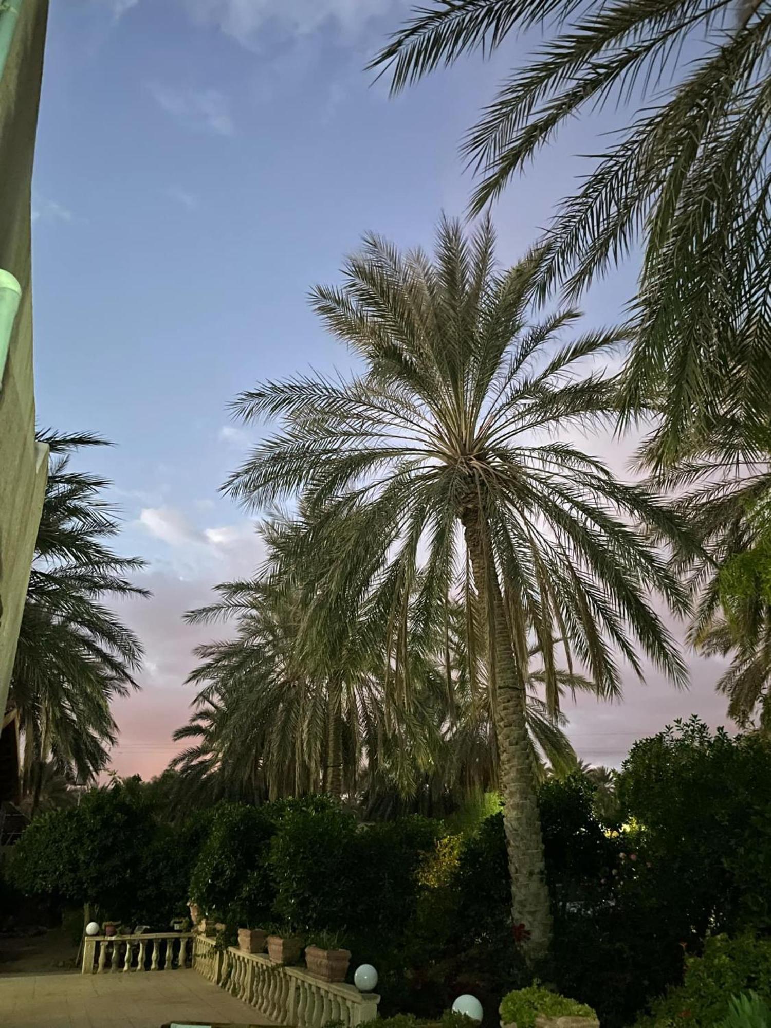 Dar Barka Hotel Kebili Kültér fotó