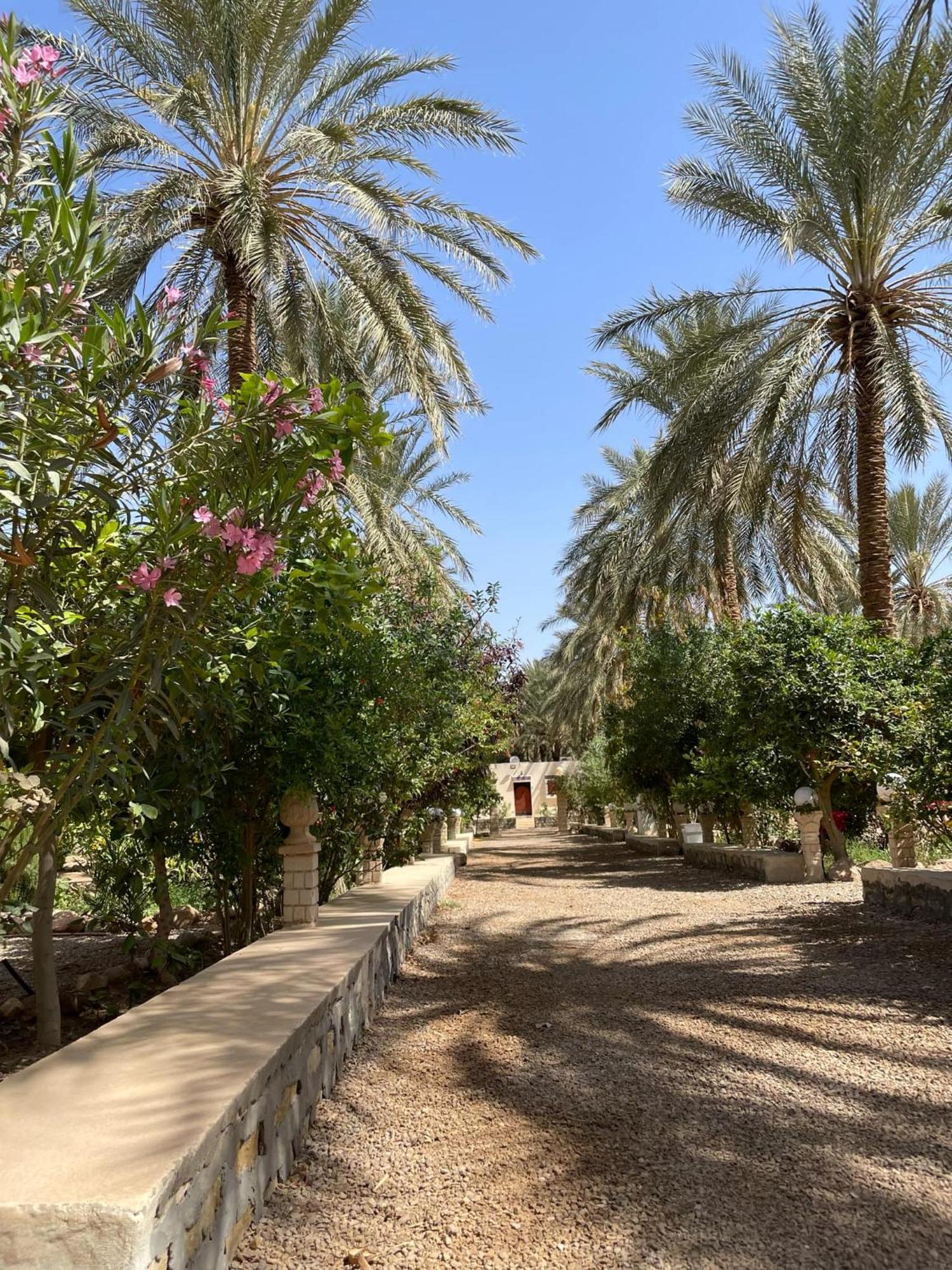 Dar Barka Hotel Kebili Kültér fotó
