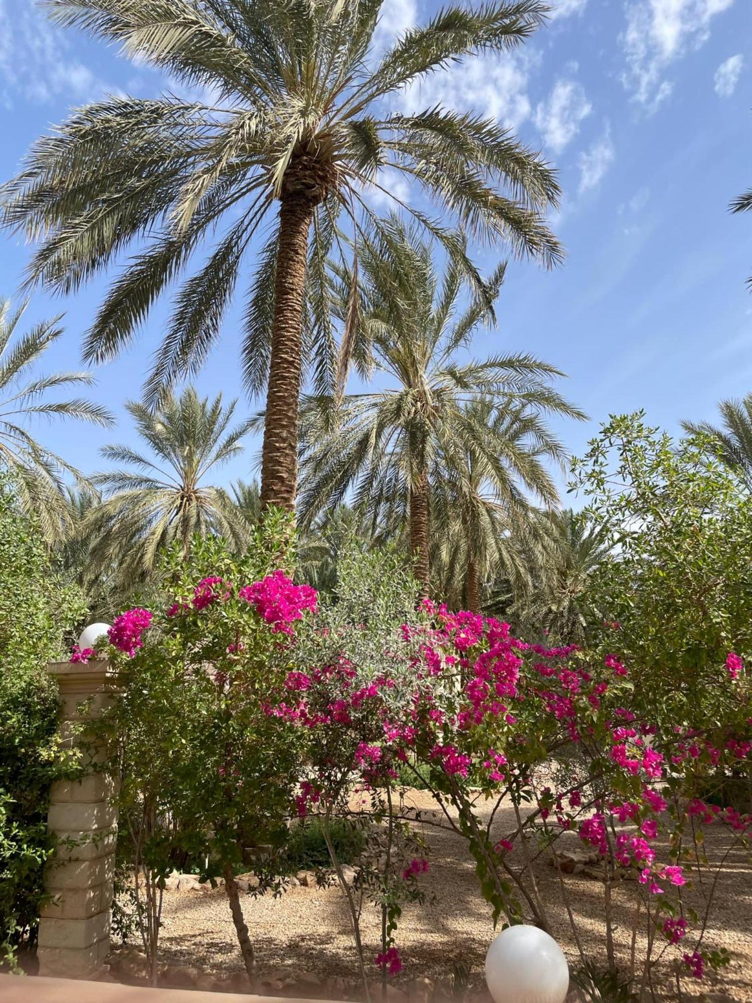 Dar Barka Hotel Kebili Kültér fotó
