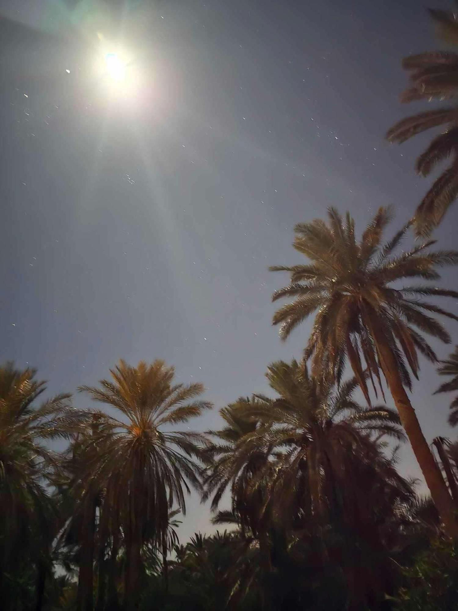 Dar Barka Hotel Kebili Kültér fotó